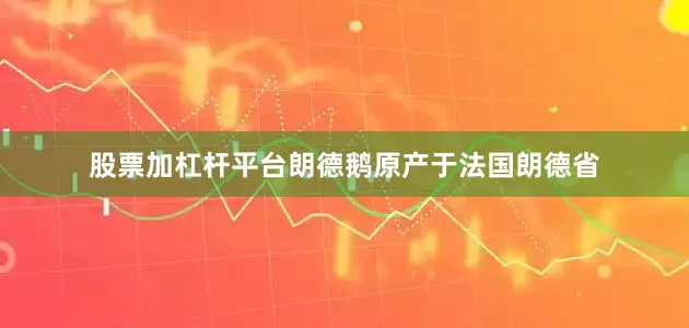 股票加杠杆平台朗德鹅原产于法国朗德省
