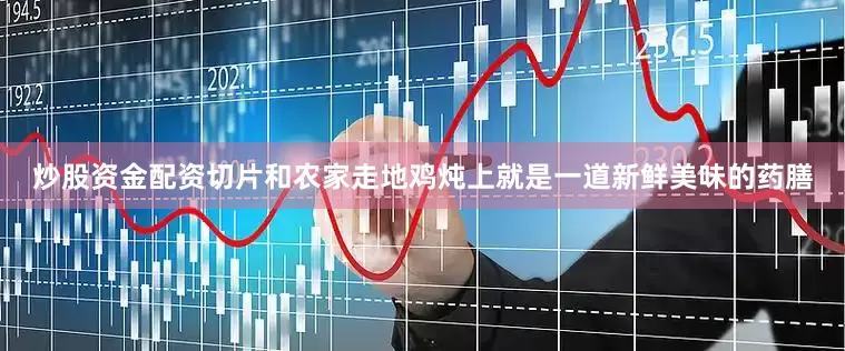 炒股资金配资切片和农家走地鸡炖上就是一道新鲜美味的药膳