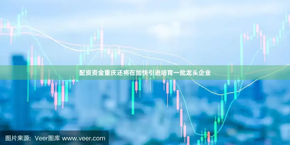 配资资金重庆还将在加快引进培育一批龙头企业