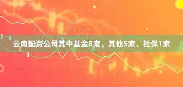 云南配资公司其中基金8家、其他5家、社保1家