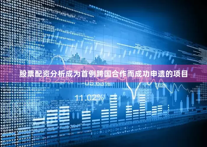 股票配资分析成为首例跨国合作而成功申遗的项目