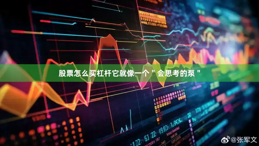 股票怎么买杠杆它就像一个＂会思考的泵＂