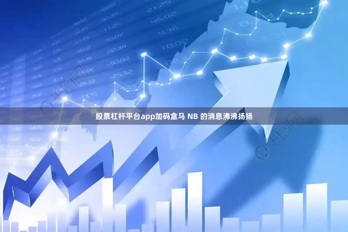 股票杠杆平台app加码盒马 NB 的消息沸沸扬扬