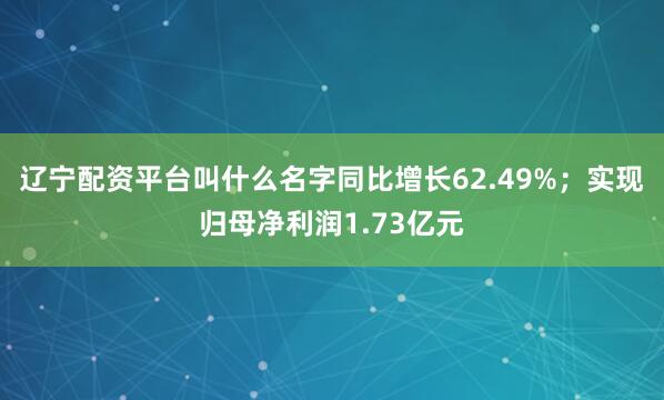 辽宁配资平台叫什么名字同比增长62.49%；实现归母净利润1.73亿元